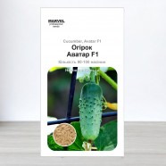 Насіння огірка партенокарпічного Аватар F1, 3г, Marvel